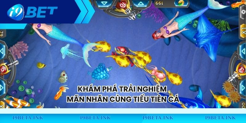 Khám phá trải nghiệm mãn nhãn cùng Tiểu Tiên Cá