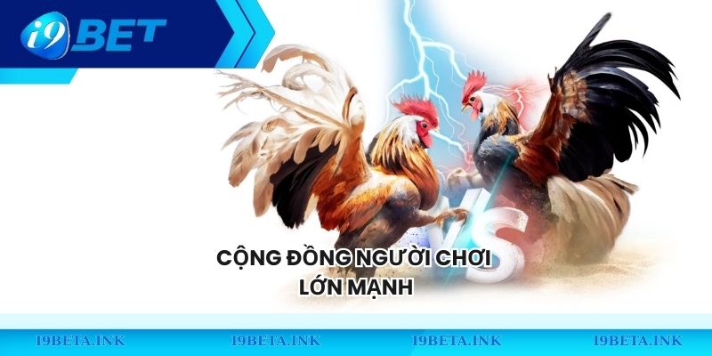 Cộng đồng người chơi lớn mạnh